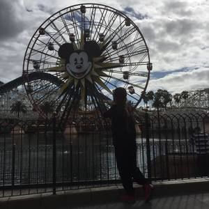 Meet your Posher, Miaomiao